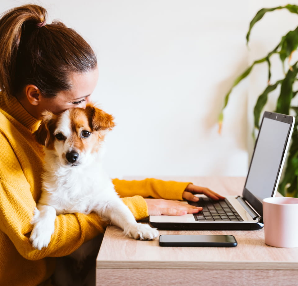 Lady sat with dog reading laptop